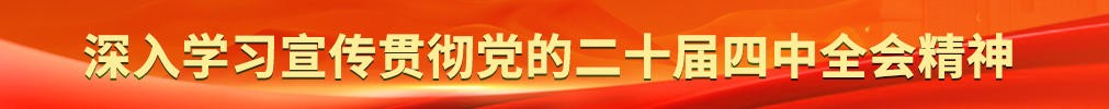 深入学习宣传贯彻党的二十届四中全会精神